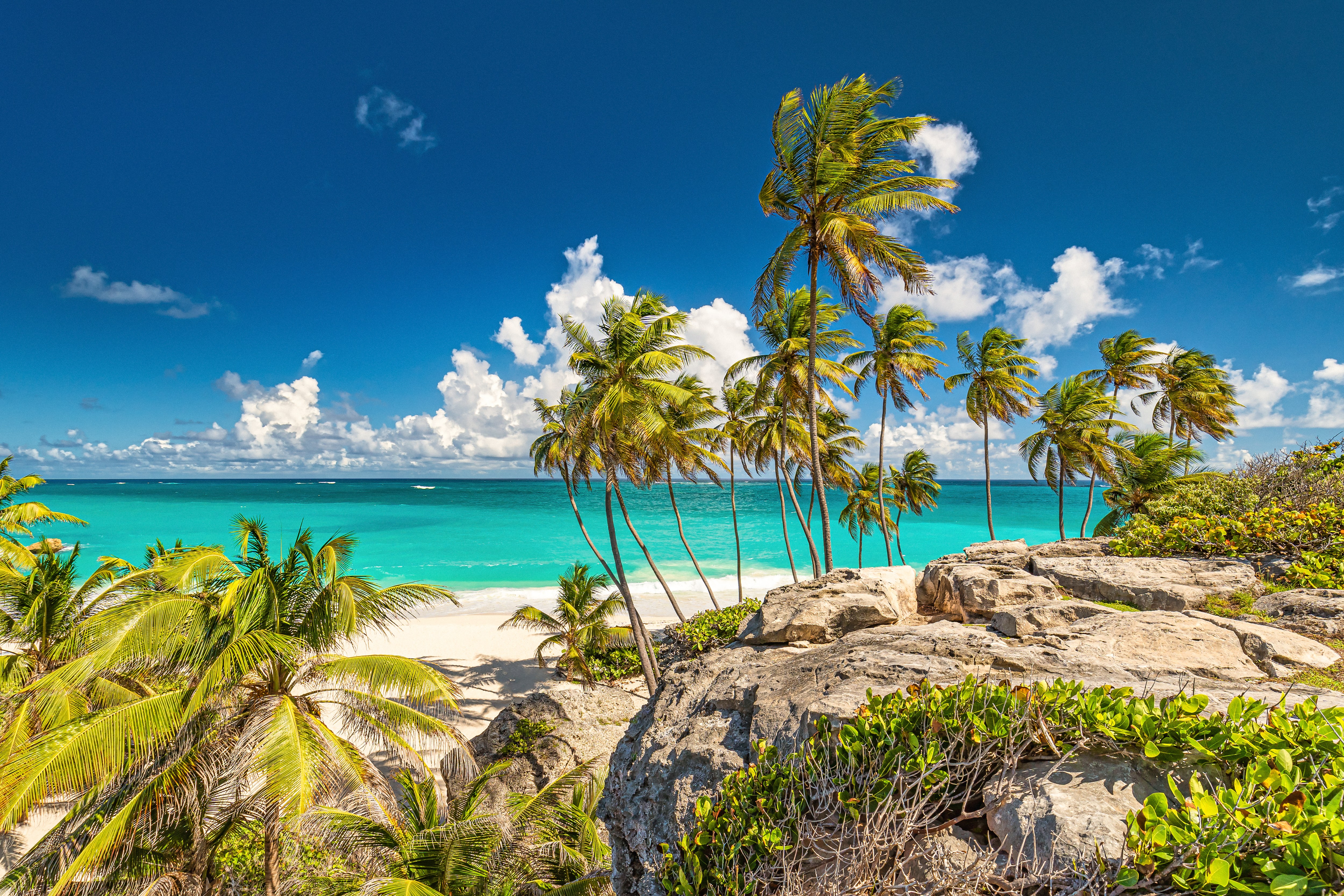 Beaches of Barbados