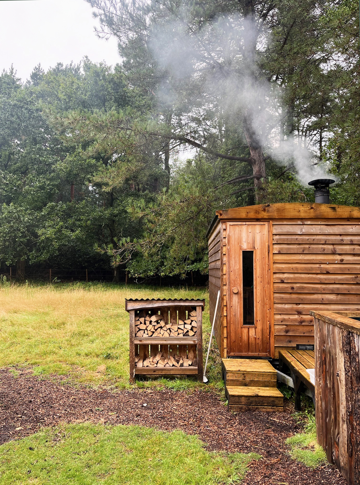 Wooden sauna in a forest with smoke coming from the chimney.