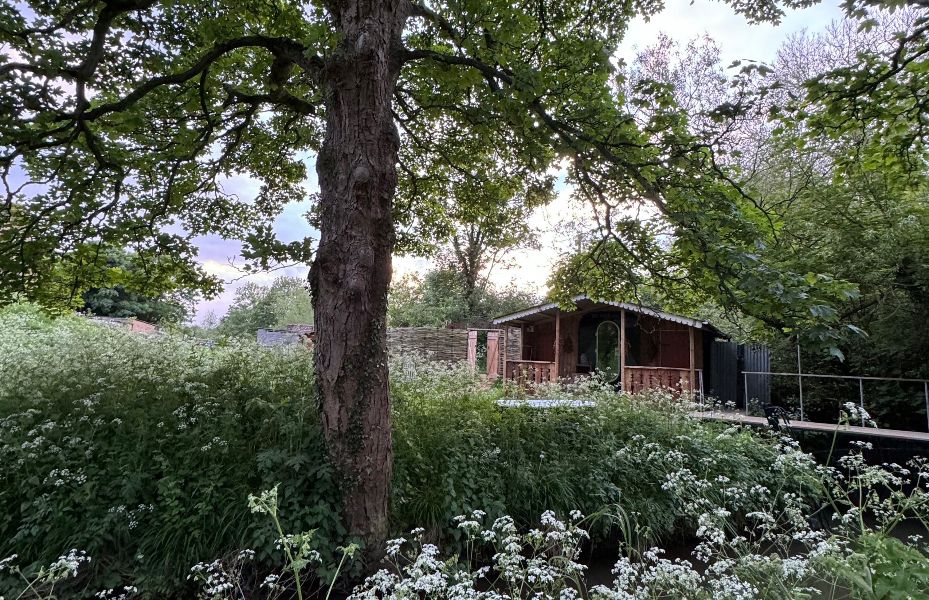 Wild sauna nestled amongst greenery.